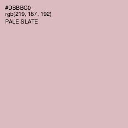 #DBBBC0 - Pale Slate Color Image